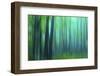 Harriman Woods III-James McLoughlin-Framed Photographic Print