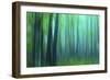 Harriman Woods III-James McLoughlin-Framed Photographic Print