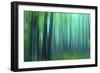 Harriman Woods III-James McLoughlin-Framed Photographic Print