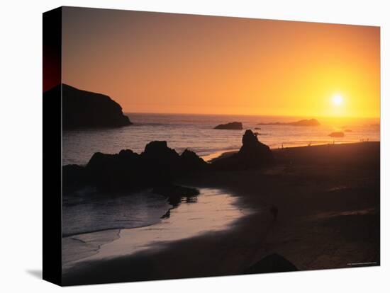 Harris Beach State Park, Brookings, Oregon, USA-Michael Snell-Stretched Canvas