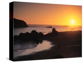 Harris Beach State Park, Brookings, Oregon, USA-Michael Snell-Stretched Canvas
