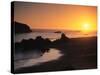 Harris Beach State Park, Brookings, Oregon, USA-Michael Snell-Stretched Canvas