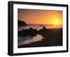 Harris Beach State Park, Brookings, Oregon, USA-Michael Snell-Framed Photographic Print