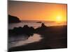 Harris Beach State Park, Brookings, Oregon, USA-Michael Snell-Mounted Photographic Print