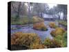 Harris Covered Bridge, Benton County, Oregon, USA-Janis Miglavs-Stretched Canvas