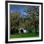 Harris Covered Bridge-Ike Leahy-Framed Photographic Print