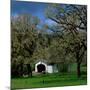 Harris Covered Bridge-Ike Leahy-Mounted Photographic Print