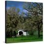 Harris Covered Bridge-Ike Leahy-Stretched Canvas