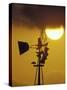 Harris Hawk Eating Prey on Windmill at Sunset, Brooks County, Texas, USA-Maresa Pryor-Stretched Canvas