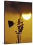 Harris Hawk Eating Prey on Windmill at Sunset, Brooks County, Texas, USA-Maresa Pryor-Stretched Canvas