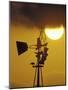 Harris Hawk Eating Prey on Windmill at Sunset, Brooks County, Texas, USA-Maresa Pryor-Mounted Photographic Print