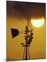 Harris Hawk Eating Prey on Windmill at Sunset, Brooks County, Texas, USA-Maresa Pryor-Mounted Photographic Print
