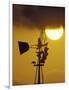 Harris Hawk Eating Prey on Windmill at Sunset, Brooks County, Texas, USA-Maresa Pryor-Framed Photographic Print