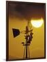 Harris Hawk Eating Prey on Windmill at Sunset, Brooks County, Texas, USA-Maresa Pryor-Framed Photographic Print