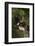 Harris Hawk (Parabuteo Unicinctus), Bearizona Wildlife Park, Williams, Arizona, USA-Peter Barritt-Framed Photographic Print