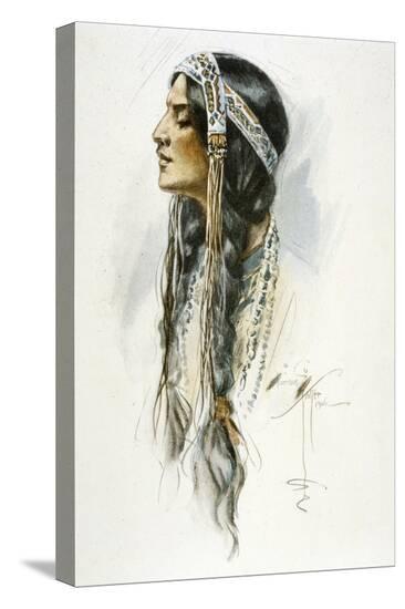 Stretched Canvas Print, , large