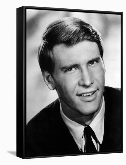 HARRISON FORD Portrait early 70's (b/w photo)-null-Framed Stretched Canvas