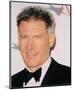 Harrison Ford-null-Mounted Photo