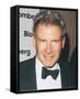 Harrison Ford-null-Framed Stretched Canvas