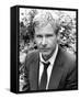 Harrison Ford-null-Framed Stretched Canvas