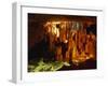 Harrison's Cave, Barbados, West Indies, Caribbean, Central America-Hans Peter Merten-Framed Photographic Print