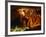 Harrison's Cave, Barbados, West Indies, Caribbean, Central America-Hans Peter Merten-Framed Photographic Print