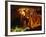 Harrison's Cave, Barbados, West Indies, Caribbean, Central America-Hans Peter Merten-Framed Photographic Print