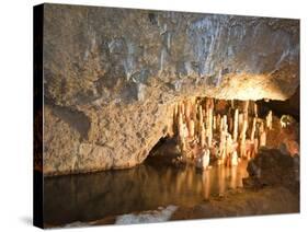 Harrison's Cave, Barbados, Windward Islands, West Indies, Caribbean, Central America-Michael DeFreitas-Stretched Canvas