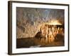 Harrison's Cave, Barbados, Windward Islands, West Indies, Caribbean, Central America-Michael DeFreitas-Framed Photographic Print