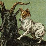 Mother Hubbard, Goat-Harrison Weir-Art Print