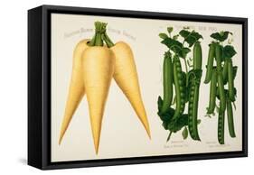 Harrisons' Magnum Bonum Parsnip and Harrisons' New Peas-null-Framed Stretched Canvas