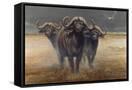 Canvas Black