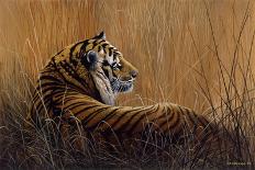 Tiger in Grass-Harro Maass-Giclee Print