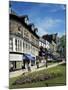 Harrogate, Yorkshire, England, United Kingdom-Adina Tovy-Mounted Photographic Print