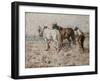 Harrowing-Harry Fidler-Framed Giclee Print