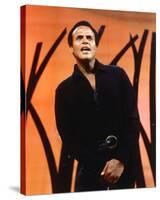 Harry Belafonte-null-Stretched Canvas