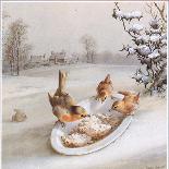 Christmas Robin and Friends-Harry Bright-Stretched Canvas