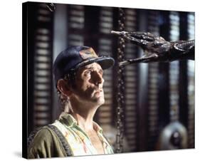 Harry Dean Stanton-null-Stretched Canvas