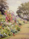 An Herbaceous Border-Harry E. James-Laminated Giclee Print