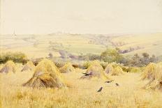 View of a Cornfield with Rooks-Harry E. James-Giclee Print