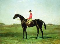 Hermit (Racehorse) 1867-Harry Hall-Art Print