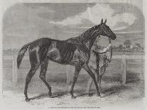 Chippendale, A Racehorse with jockey up on Newmarket Racecourse, 1874-Harry Hall-Giclee Print