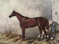 Galopin with Jockey Up, 1875-Harry Hall-Giclee Print