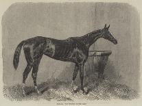 The Deciding Heat for the Cesarewitch Stakes, 1857-Harry Hall-Giclee Print