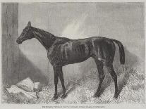 Blink Bonny, the Winner of the Derby and Oaks-Harry Hall-Giclee Print