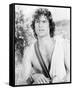 Harry Hamlin - Clash of the Titans-null-Framed Stretched Canvas