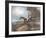 Harry Hieover on Tilter-Harry Hall-Framed Art Print