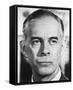 Harry Morgan-null-Framed Stretched Canvas