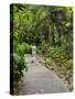 Harry P. Leu Gardens, Orlando, Florida, United States of America, North America-Michael DeFreitas-Stretched Canvas