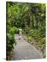 Harry P. Leu Gardens, Orlando, Florida, United States of America, North America-Michael DeFreitas-Stretched Canvas